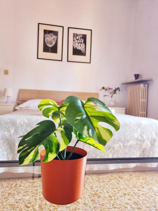 Prime Guest House Pisa Exteriör bild